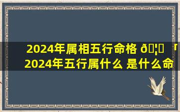 2024年属相五行命格 🦉 「2024年五行属什么 是什么命」